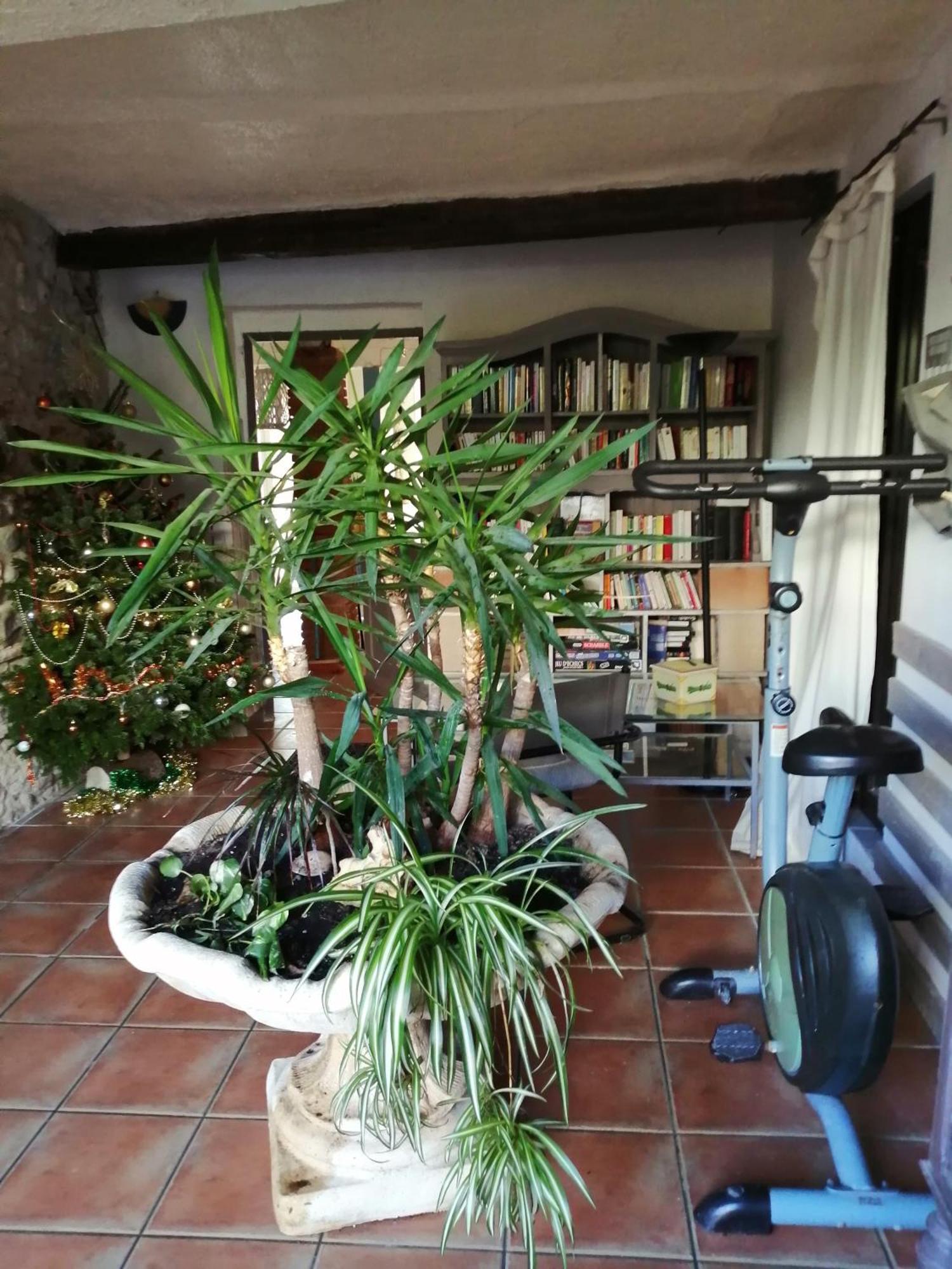 Belle Maison De Caractere Dans Village Et Sa Piscine Privee 7 Pers- 3 Chambres - 12 Rue Emile Zola Millas Ngoại thất bức ảnh